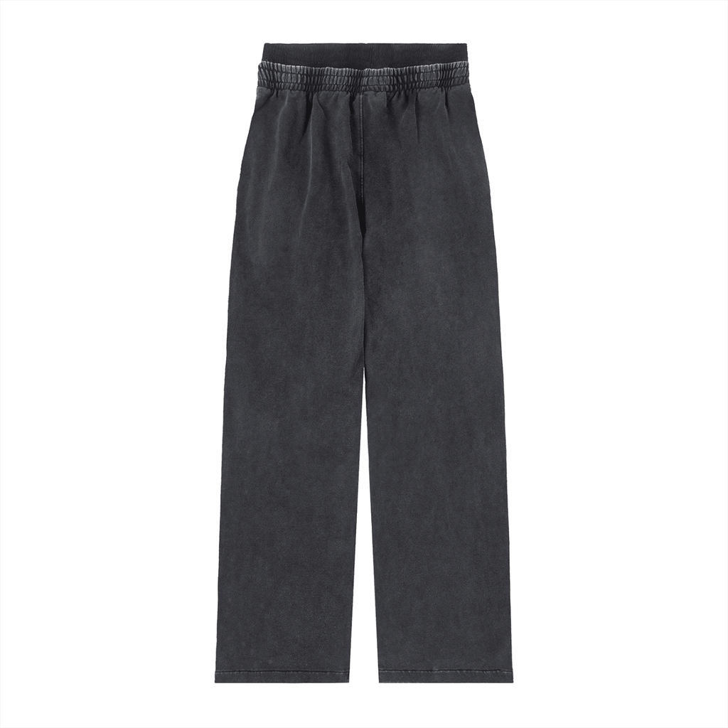TAKE THE RISK™ WOMEN'S WASHED PANTS - Priorisky